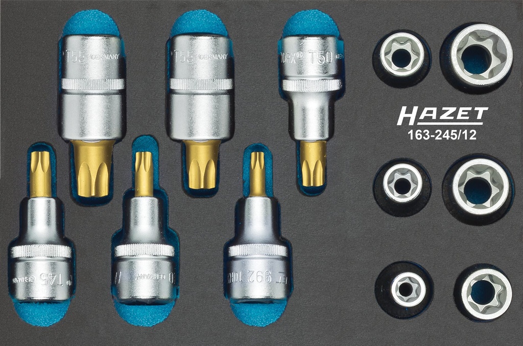 [163-245/12] HAZET Jeu d'outils · TORX® 163-245/12 ∙ Carré creux 1/2 pouce (12,5 mm) ∙ Profil TORX® extérieur, Profil TORX® intérieur ∙ 12 pièces ∙ E10 – E20 ∙ T30 – T60