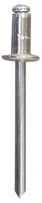 [A0004052] SHT RIV