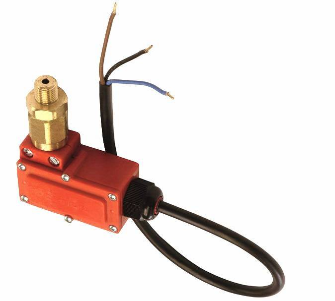 [441201KRANZLE] [⚠Déstockage] Interrupteur à pression cpl  1/4 AG câble 500mm KRANZLE (PIECE)