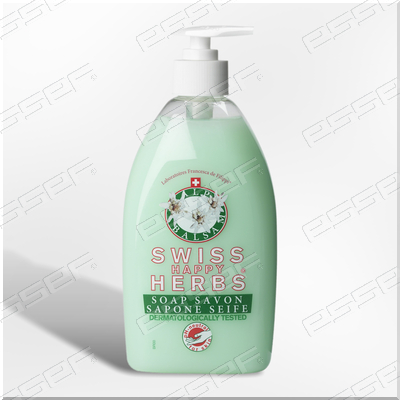 [R11001-1] BIDON SAVON MAIN 500ML (BIDON) (carton de 10 pièces)