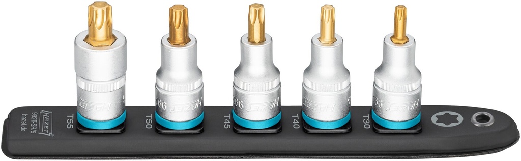 HAZET SmartRail ∙ barre enfichable flexible en matière plastique 992T-SR/5 ∙ Carré creux 1/2 pouce (12,5 mm) ∙ Profil TORX® intérieur ∙ 5 pièces ∙ T30 ∙ T40 ∙ T45 ∙ T50 ∙ T55