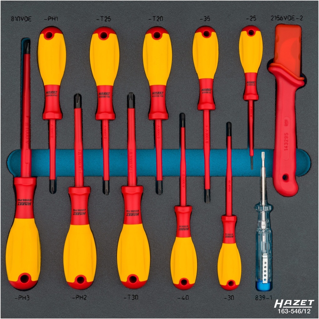 HAZET Jeu de tournevis ∙ avec isolation de protection 163-546/12 ∙ Profil Phillips PH, Profil TORX® intérieur, Profil à fente ∙ 12 pièces ∙ 0,4 x 2,5 – 0,8 x 4 ∙ PH1 – PH2 ∙ T20 – T30