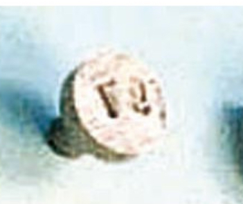 [IBLG0002] BLOC DE GRAVURE COTE ROND MACHOIRE SUPERIEURE POUR PINCE A PLOMBER IPIP9001 MARQUAGE S (PIECE)