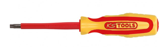 [117.0551] KSTools 117.0551 Tournevis isolé Torx, T10