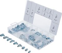 [8065BG] BGS - 8065 - Assortiment de graisseurs 110 pièces
