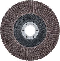 [3974BG] BGS - 3974 - Disque à lamelles Ø 125 mm K 40