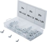 [8133BG] BGS - 8133 - Assortiment d’écrous-papillons 75 pièces