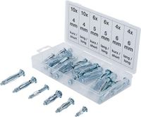 [8139BG] BGS - 8139 - Assortiment de chevilles de chevilles Molly 40 pièces