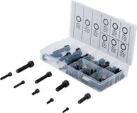 [14140BG] BGS - 14140 - Assortiment de vis à tête cylindrique hexagone femelle 106 pièces
