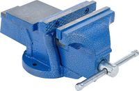 BGS - 59265 - Étau parallèle mâchoires 125 mm