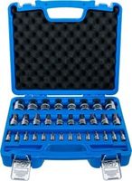 BGS - 74258 - Jeu de douilles à embouts 6,3 mm (1/4") / 10 mm (3/8") / 12,5 mm (1/2") Six pans femel