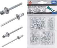 BGS - 75846 - Assortiment de rivets pop Ø 2,4 - 4,8 mm 100 pièces