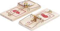 BGS - 80782 - Pièges à souris 2 pièces