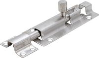 [88081BG] BGS - 88081 - Loquet Acier inoxydable 100 mm