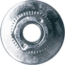 [A0228384] BLS ECROUS
