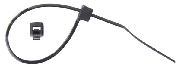 [A0228401] BLS LANIERES