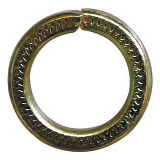 [A0000848] SHT RONDELLES