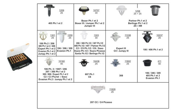 [A0000085] CFR PSA MOULURES