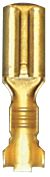 [A0306888] BTE COSSES