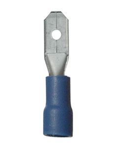 [A0006977] SHT COSSES