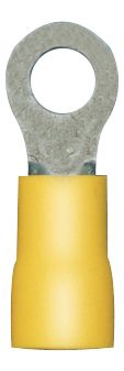 [A0006994] SHT COSSES