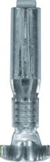 [A0017007] SHT COSSE NUE FEMELLE
