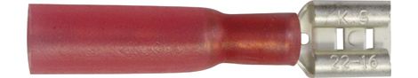 [A0225166] BLS COSSES THERMO