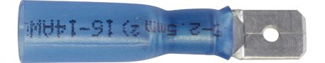 [A0225172] BLS LANGUETTES
