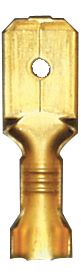 [A0226817] BLS LANGUETTES NUES
