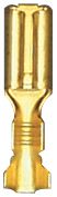 [A0226887] BLS COSSES NUES