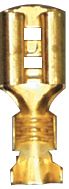 [A0226889] BLS COSSES NUES