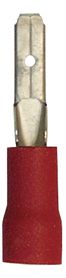 [A0226975] BLS COSSES