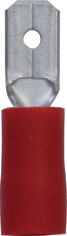 [A0226976] BLS COSSES