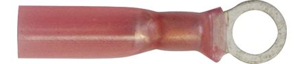 [A0017252] SHT COSSES THERMO