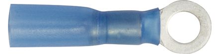 [A0017258] SHT COSSES THERMO