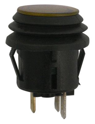 [A0017495] BLISTER  INTERRUPTEUR 17495
