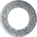 [A0040324] BTE PL RONDELLE PLATE