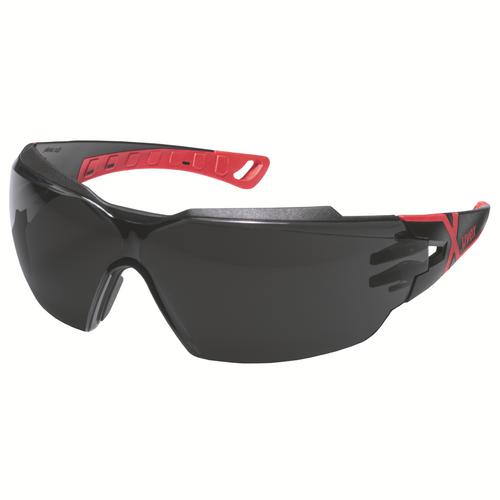 9198175 - Lunettes à  branches uvex pheos cx2 gris, protection contre les infrarouges5,0 inf. plus 